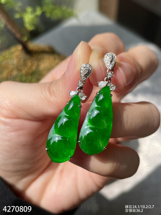 老坑帝王绿福豆吊坠【4270809】具体价格微信咨询 商品图3