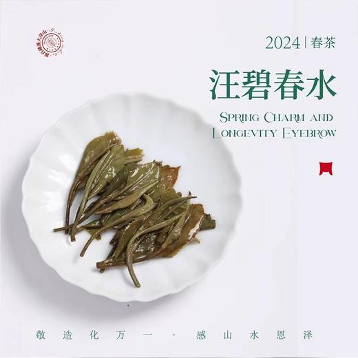 福鼎白茶丨一叶九鼎 2024年 磻溪大洋山 春韵寿眉 一级寿眉500g 商品图4
