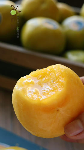 ✈️顺丰包邮到家妙脆太秋柿！太秋柿果肉细腻像梨像苹果又像哈密瓜，绿色认证独特柿子风味，脆嫩多汁又爽甜口感绝，一个青皮柿子，糖度能到25+ 简直惊掉下巴，而且越放越甜 优点数不完~！4斤/箱，约15个