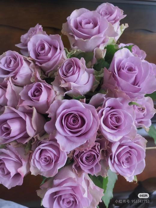 拍市紫霞A 商品图0