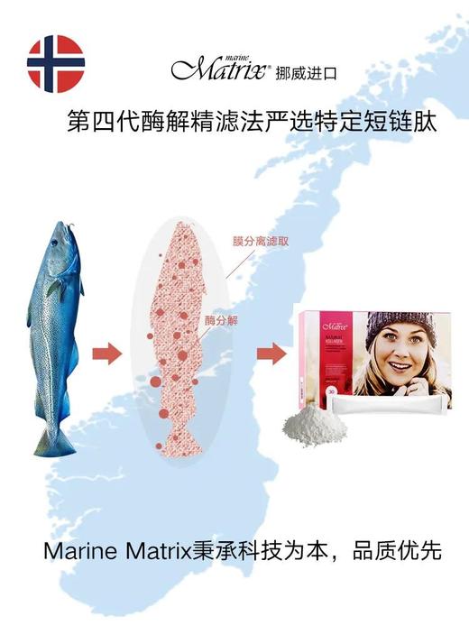 挪威 Marine Matrix 小分子胶原肽胶原蛋白肽粉精华抗糖饮 30条/盒 商品图5