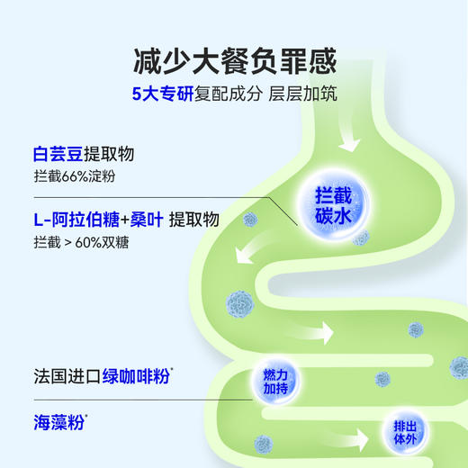 【盼盼专属】万益蓝wonderlab白芸豆压片糖果阻断剂碳水糖分淀粉救星大餐前吃 商品图7