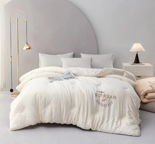 知庭米奇大豆被160x210cm 商品图0