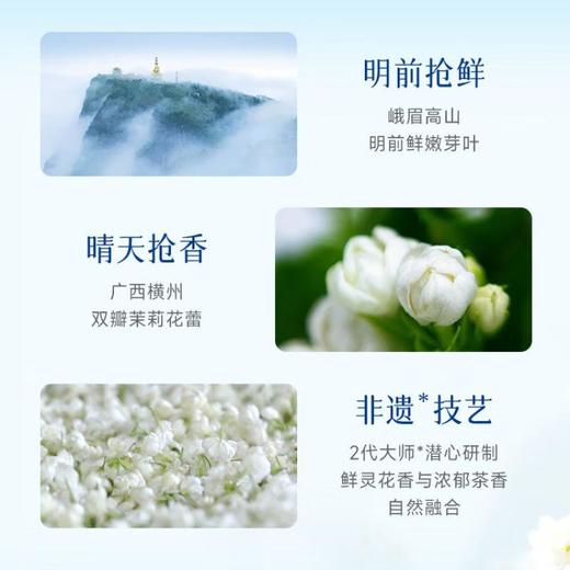 竹叶青牌碧潭飘雪绿茶50g 商品图5