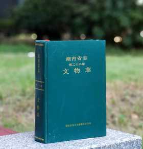《湖南省志 文物志》，精装，32开，湖南省地方志编纂委员会编，侯良主编，湖南出版社1995年一版一印，950页，售价55元。