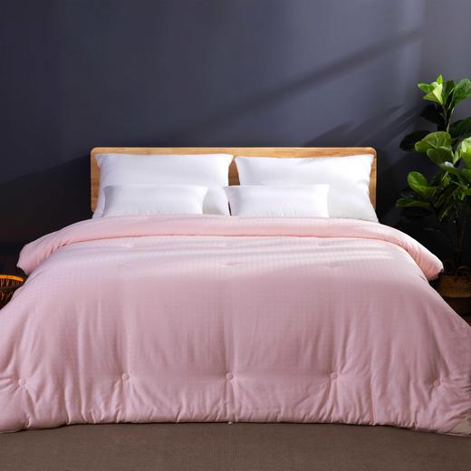 【远梦】植选大豆抗菌冬被 商品图1