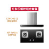 万家乐组合【油烟机CXW-300-E2+天然气灶JZT-QA01A】 商品缩略图0