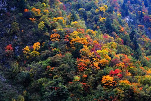 奥太娜雪山攀登活动 |  2日行程 商品图1