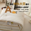 【A类贡缎提花99大豆被】柔软提花被芯a类加厚被子冬被母婴纯色99大豆纤维被 商品缩略图2