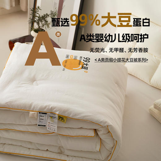 【A类贡缎提花99大豆被】柔软提花被芯a类加厚被子冬被母婴纯色99大豆纤维被 商品图2