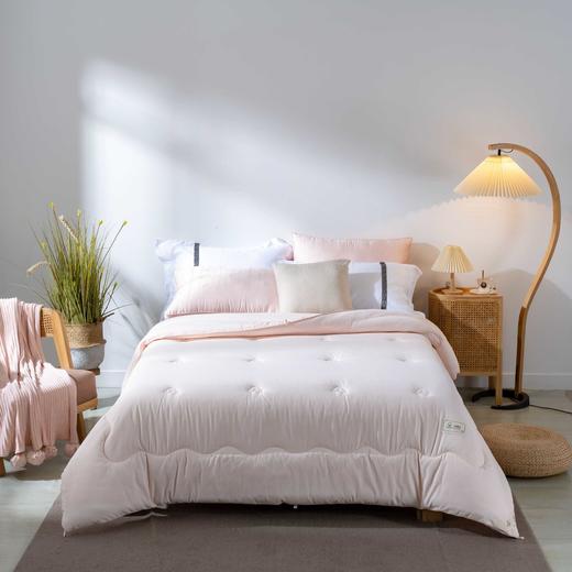 【远梦】生态棉花冬被 商品图1