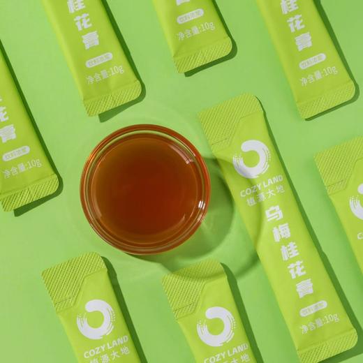 乌梅桂花膏 30袋 植萃 商品图3