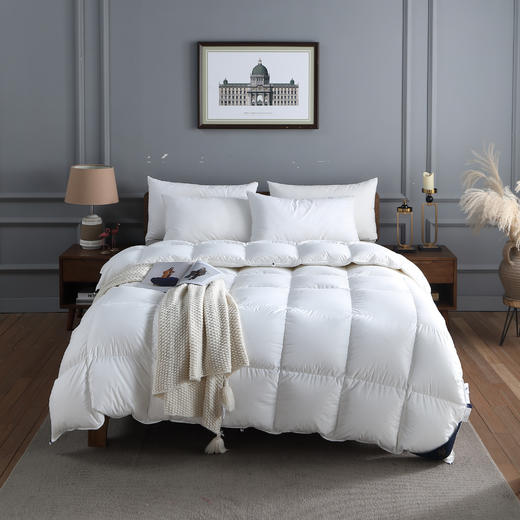 远梦95%白鹅绒冬厚被 商品图0