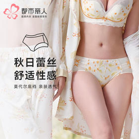都市丽人内裤薄透丝滑平角裤蕾丝女士内裤LPT2P2