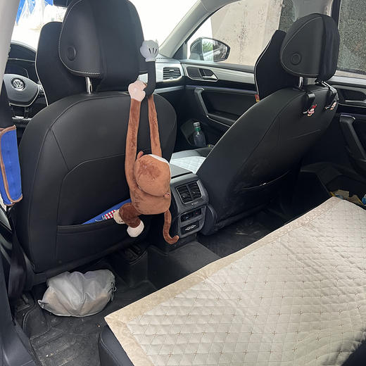 大众 探岳 330TSI 两驱豪华型 国VI【长租-北京】 商品图6