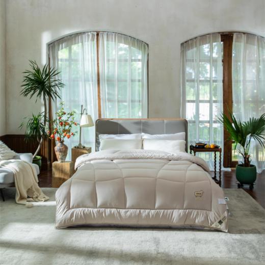 【远梦】澳洲羊毛双层芯四季被 商品图0