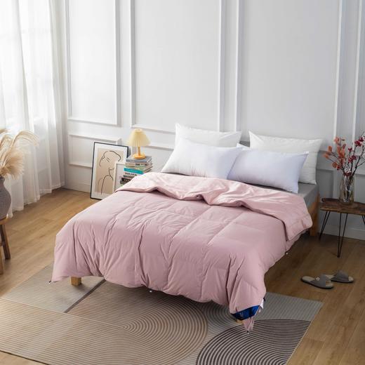 【远梦】蚕丝羽绒子母被 商品图3