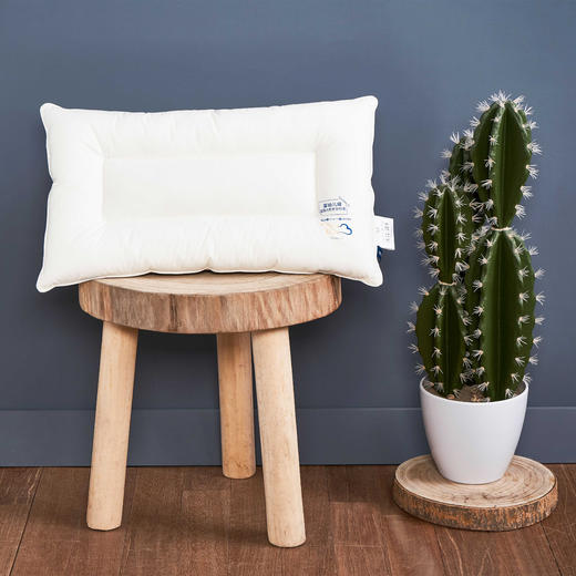 【远梦】舒适水洗儿童定型枕 商品图3