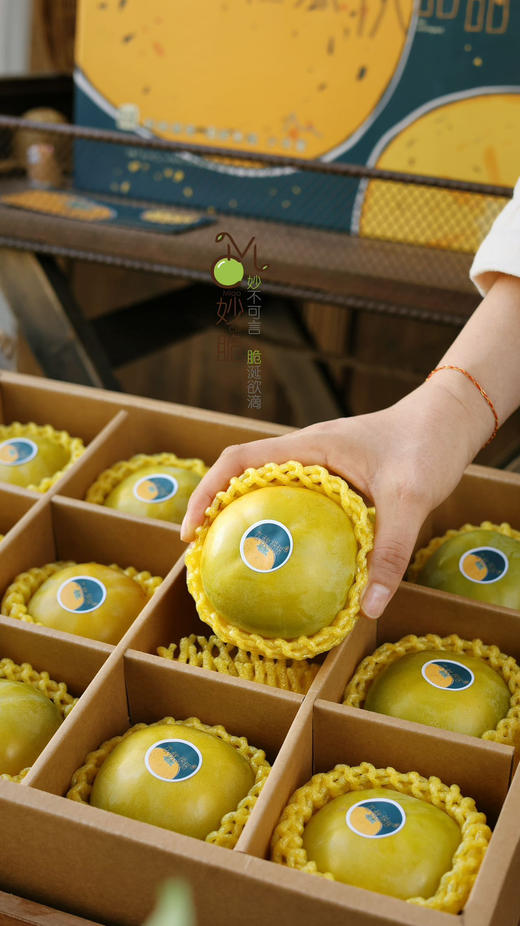 ✈️顺丰包邮到家妙脆太秋柿！太秋柿果肉细腻像梨像苹果又像哈密瓜，绿色认证独特柿子风味，脆嫩多汁又爽甜口感绝，一个青皮柿子，糖度能到25+ 简直惊掉下巴，而且越放越甜 优点数不完~！4斤/箱，约15个 商品图3