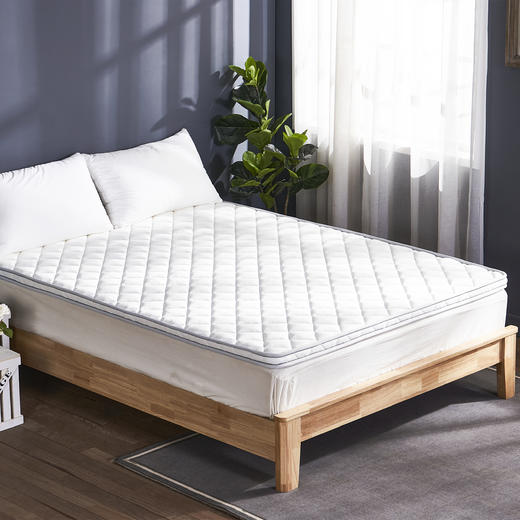 远梦负氧离子有氧床垫 商品图1