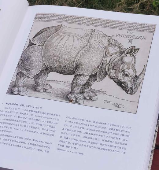 《动物凶猛：版画博物馆里的奇兽》，12开精装，铜版彩印，[法]雷米 马蒂斯著，北京联合出版公司2021年一版一印，167页，定价188，售价66元。 商品图7