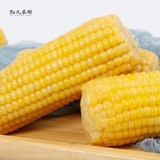 物元农场黄糯玉米：Q弹糯饱满，香，微甜，推荐，一根220克*8根每箱 商品图1