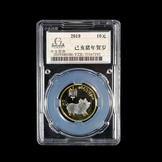 中金国衡封装2019猪年流通币 商品图0