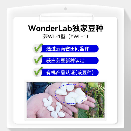 【盼盼专属】万益蓝wonderlab白芸豆压片糖果阻断剂碳水糖分淀粉救星大餐前吃 商品图6