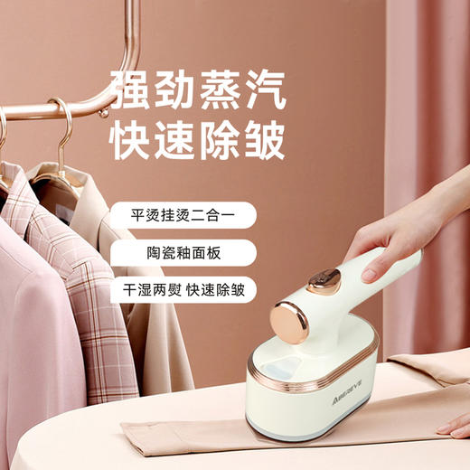 艾贝丽手持蒸汽熨烫机ABL-G209 商品图0