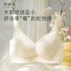 奶糖派琉璃文胸梦幻蕾丝大胸显小聚拢大胸承托防下垂透气薄款内衣 商品缩略图2