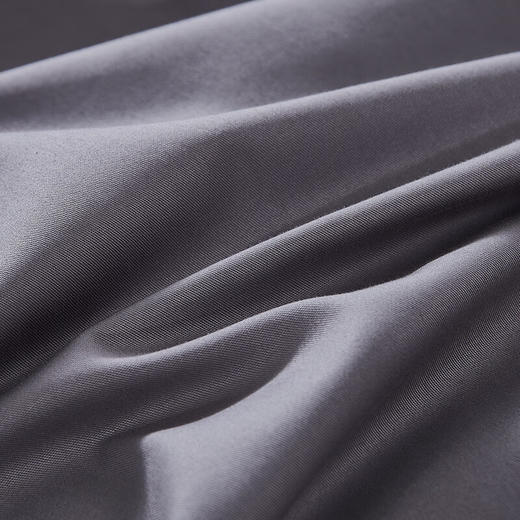 【纯棉】富安娜素绣纯棉床单四件套/伯爵·印象/灰【203*229cm】XHR 商品图6