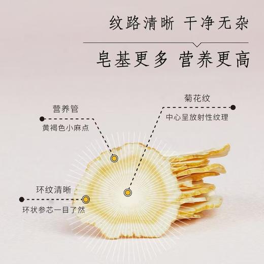 西洋参 商品图2