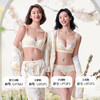 都市丽人内裤薄透丝滑平角裤蕾丝女士内裤LPT2P2 商品缩略图3
