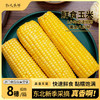 物元农场黄糯玉米：Q弹糯饱满，香，微甜，推荐，一根220克*8根每箱 商品缩略图0