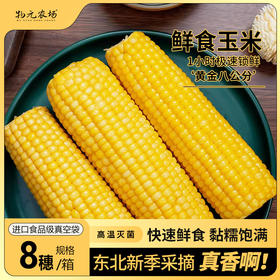 物元农场黄糯玉米：Q弹糯饱满，香，微甜，推荐，一根220克*8根每箱