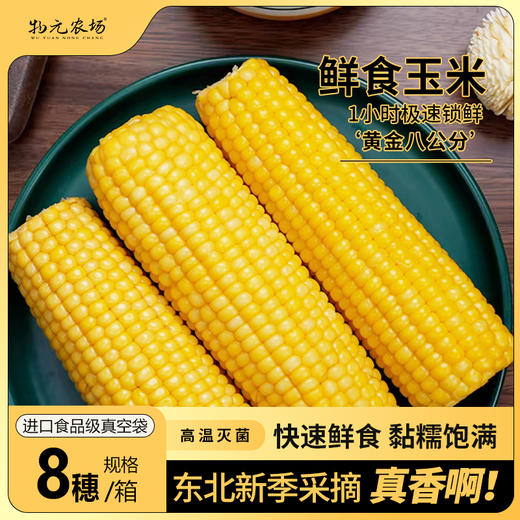 物元农场黄糯玉米：Q弹糯饱满，香，微甜，推荐，一根220克*8根每箱 商品图0