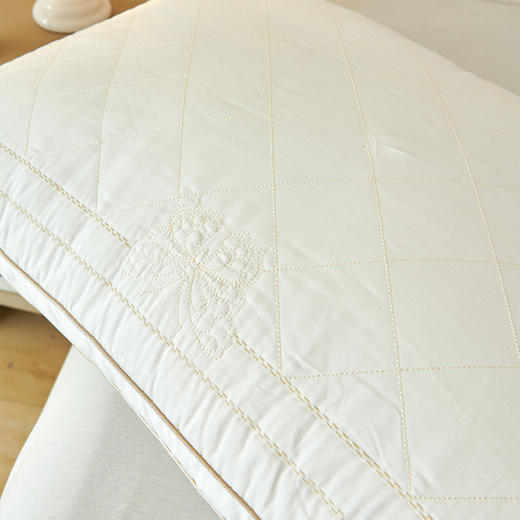 【春上新】10楼 安睡宝 双面复合蚕丝枕48×74cm  吊牌价1198元/对 活动价299元/对 商品图1