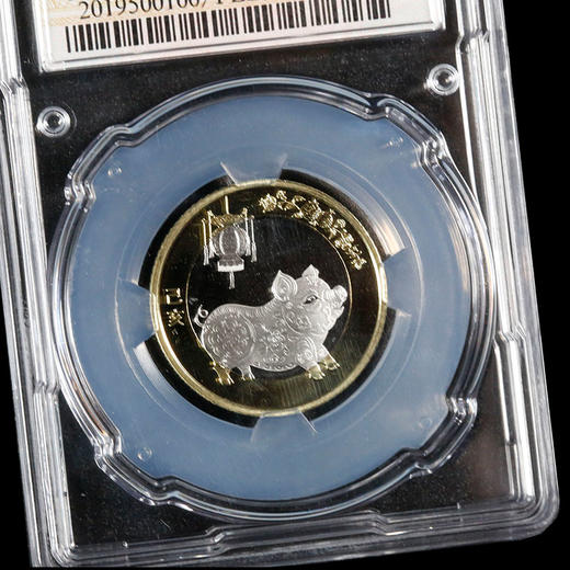 中金国衡封装2019猪年流通币 商品图2