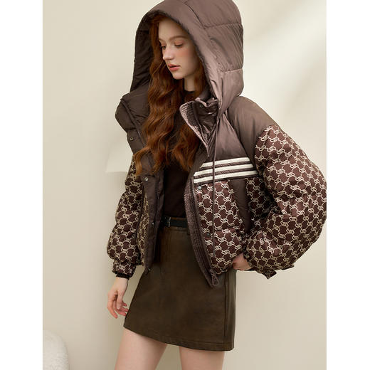 高级感老花立领连帽短款羽绒服女秋冬面包服保暖外套V0043510 商品图3