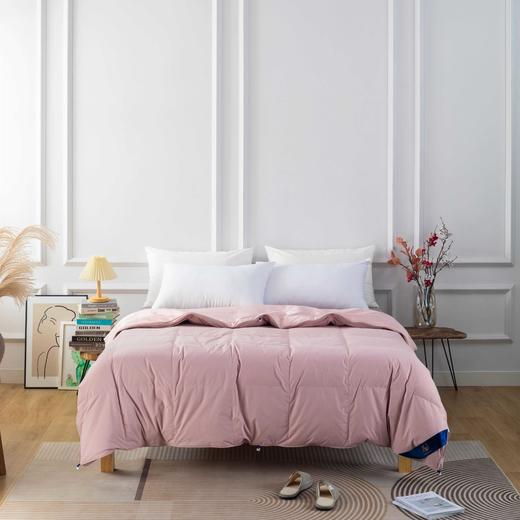 【远梦】蚕丝羽绒子母被 商品图0