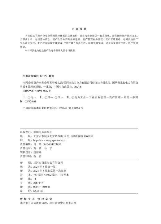 电网企业资产全寿命周期管理实践 商品图3