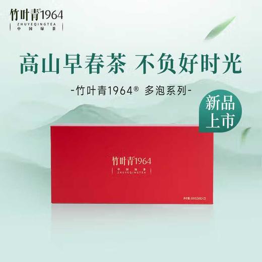 竹叶青牌绿茶（卷曲形）100g 商品图1