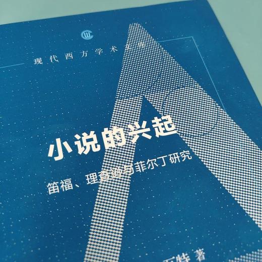 小说的兴起 笛福、理查逊与菲尔丁研究 现代西方学术文库 商品图2