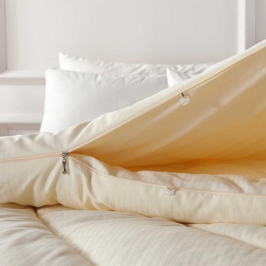 远梦大豆亲肤双胎被 商品图3