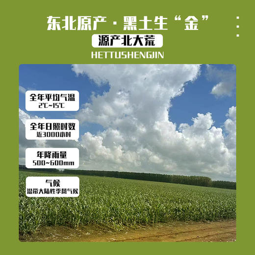 29.9抢10根！【东北黄糯玉米】非转基因 糯而不粘 配料表干净 0农残 无任何添加剂 防腐剂 商品图6