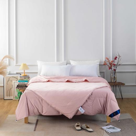 【远梦】蚕丝羽绒子母被 商品图1