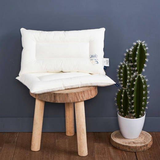 【远梦】舒适水洗儿童定型枕 商品图2