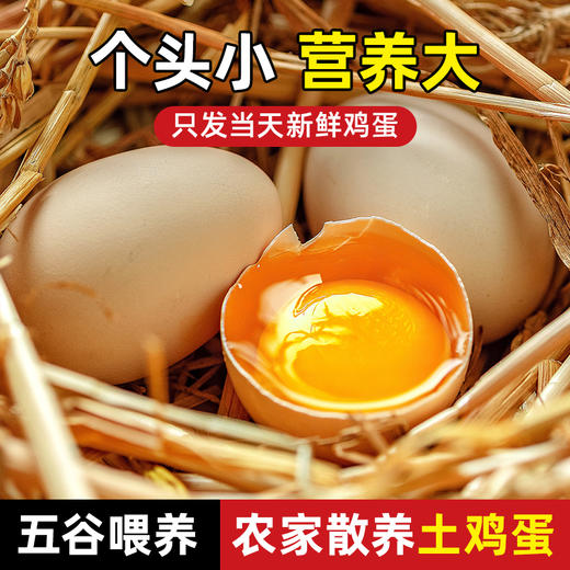 【30枚】黄陂正宗农家散养土鸡蛋五谷喂养新鲜鸡蛋草鸡蛋柴鸡蛋 TYNY 商品图1
