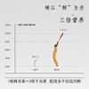 鲜虫草 商品缩略图3