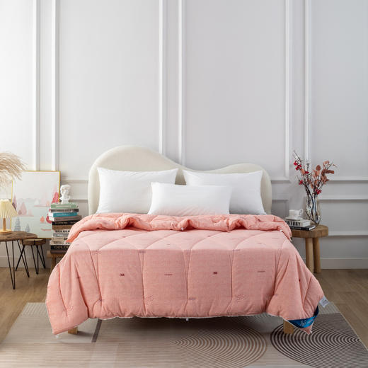 【远梦】亲水恒适暖阳冬被 商品图1